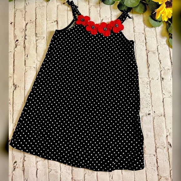 Gymboree Other - Gymboree Poppy Dress 5 Girls A Line GUC